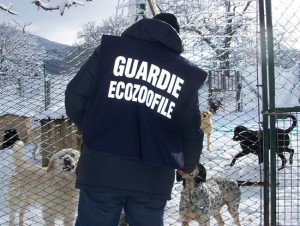 Guardie ecozoofile