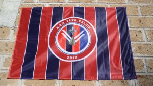 Viva Calcio