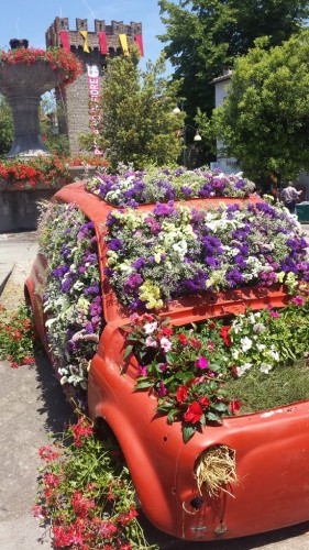 Vitorchiano - Peperino in fiore