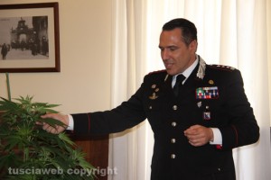 Il colonnello Mauro Conte con alcune delle piante sequestrate