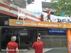 Roma - Stazione Valle Aurelia - Una capretta bloccata sul tetto