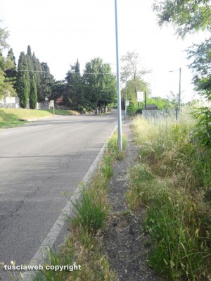 L'incuria a San Martino al Cimino