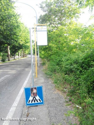 L'incuria a San Martino al Cimino