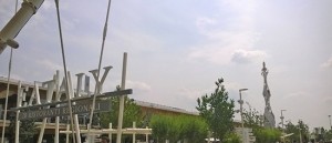 Fiore del cielo vista da Eataly