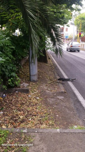 Viterbo - Via Santa Maria in Gradi - I marciapiedi dopo il semaforo