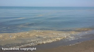 Montalto Marina - Acqua sporca
