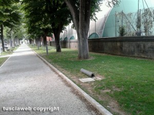 Viterbo - Illuminazione in viale della Stazione