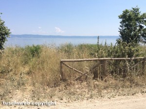 Lago di Bolsena