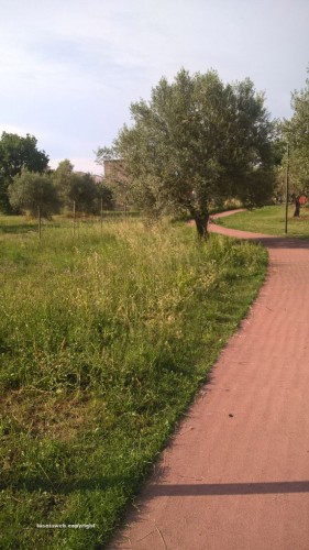 Viterbo - Il Parco delle querce a Santa Barbara