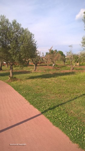 Viterbo - Il Parco delle querce a Santa Barbara