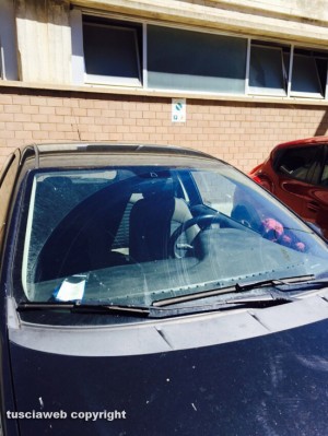 Viterbo - Ospedale Belcolle - I parcheggi per disabili