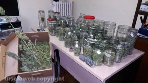 Civita Castellana - Carabinieri - La marijuana essiccata nei 44 barattoli