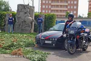 Le 500 piante di marijuana estirpate dai carabinieri a Vitorchiano