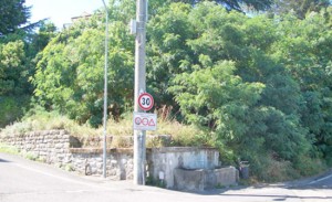 Le condizioni del fontanile al Roncone oggi