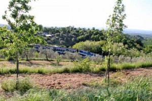 Il treno deragliato in località Fornacchia
