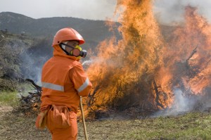 La prociv impegnata a spegnere un incendio
