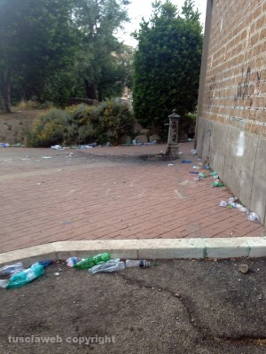 Le bottiglie di plastica abbandonate fuori alla scuola Egidi