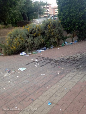 Le bottiglie di plastica abbandonate fuori alla scuola Egidi