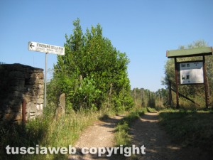 Viterbo - Il degrado sulla via Francigena