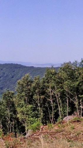 Capranica 