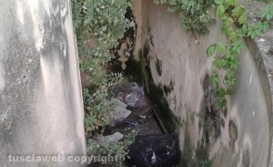 Degrado a Viterbo