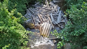 La discarica segnalata dall'associazione "Tu per Nepi"