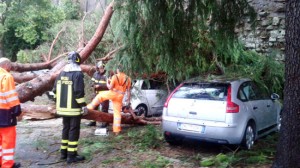 Bomarzo - I danni causati dalla tromba d'aria dello scorso mercoledì