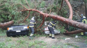 Bomarzo - I danni causati dalla tromba d'aria dello scorso mercoledì