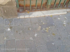 Viterbo - Degrado e sporco in via Ss Liberatrice