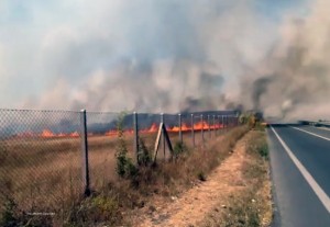 L'incendio che ha bloccato l'aeroporto di Fiumicino