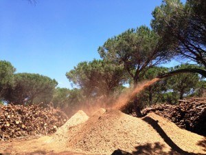 Tarquinia - Interventi in località Spinicci 