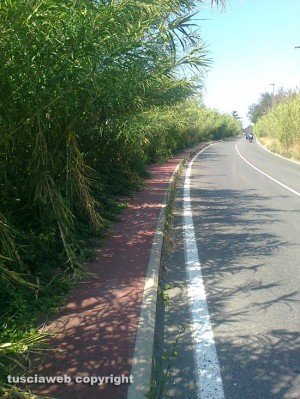 Viterbo - Strada Bagni