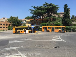 I bus della Francigena