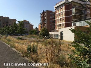 Viterbo - Le erbacce in via Caduti sul lavoro