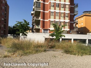 Viterbo - Le erbacce in via Caduti sul lavoro