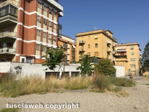 Viterbo - Le erbacce in via Caduti sul lavoro