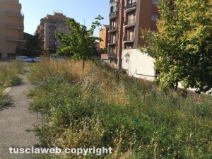 Viterbo - Le erbacce in via Caduti sul lavoro