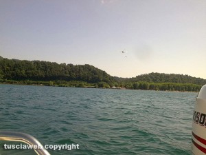 Bosco in fiamme sul lago di Bolsena