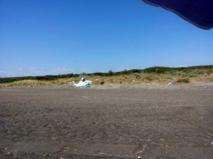Il degrado sulla spiaggia di Riva dei Tarquini