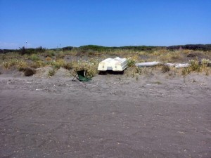 Il degrado sulla spiaggia di Riva dei Tarquini