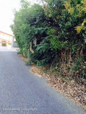 Il degrado di via Amedeo Cerasa