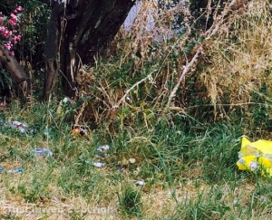 Il degrado di via Amedeo Cerasa