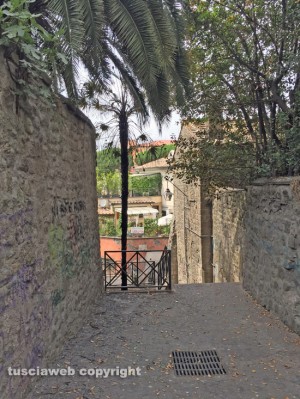 Viterbo - Via del Ganfione - La palma incendiata
