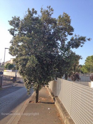 I marciapiedi di via Ramacci