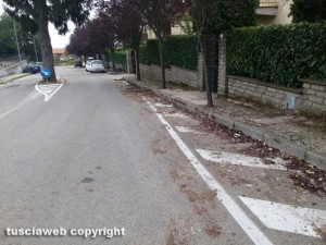 Vignanello - Via Giacomo Leopardi