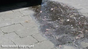 Bagnaia - Le condizioni della fontana in piazza XX Settembre