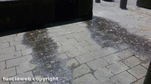 Bagnaia - Le condizioni della fontana in piazza XX Settembre