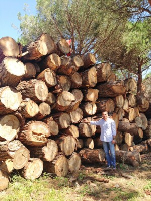 Tarquinia - Interventi in località Spinicci 