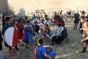 Ludika 1243 - La battaglia campestre
