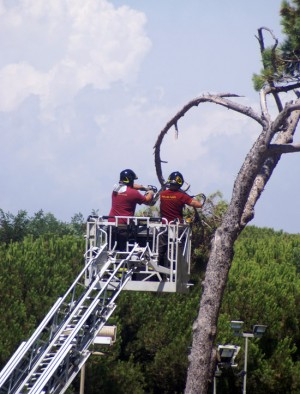 Montalto - I vigili del fuoco tagliano i rami pericolanti
